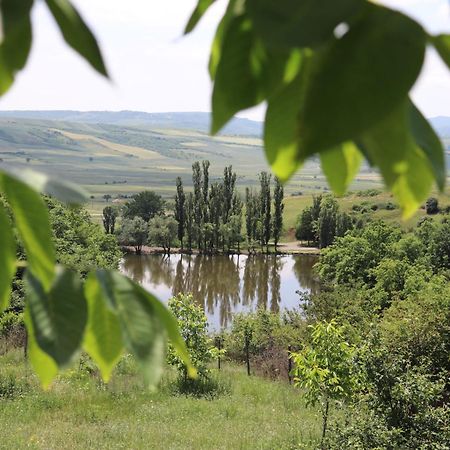 Lakeside Garden - Ismayilli Guest House Экстерьер фото